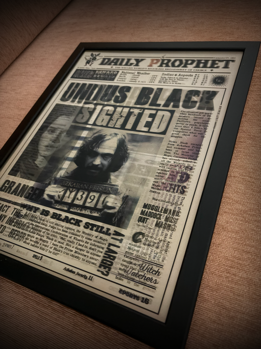 Harry Potter - Daily Prophet Poster