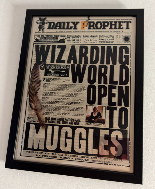 Harry Potter - Daily Prophet V4 Poster