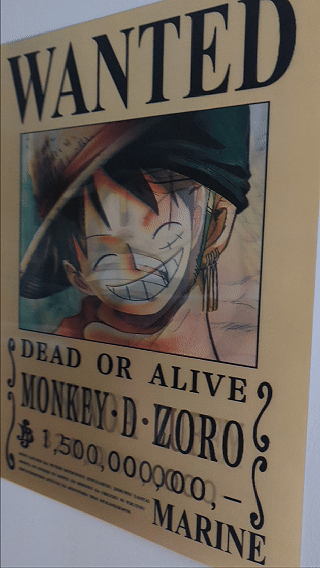 One Piece Wanted Poster