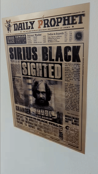 Harry Potter - Daily Prophet Poster